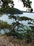 2006 0802oakhar0003