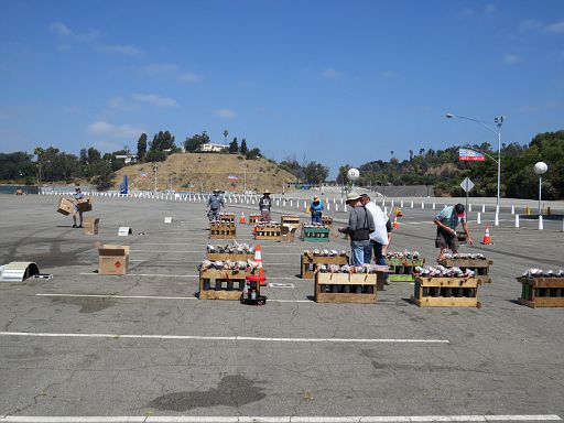 Fireworks Setup12