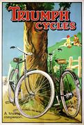 Triumph cycles - A trusty companion