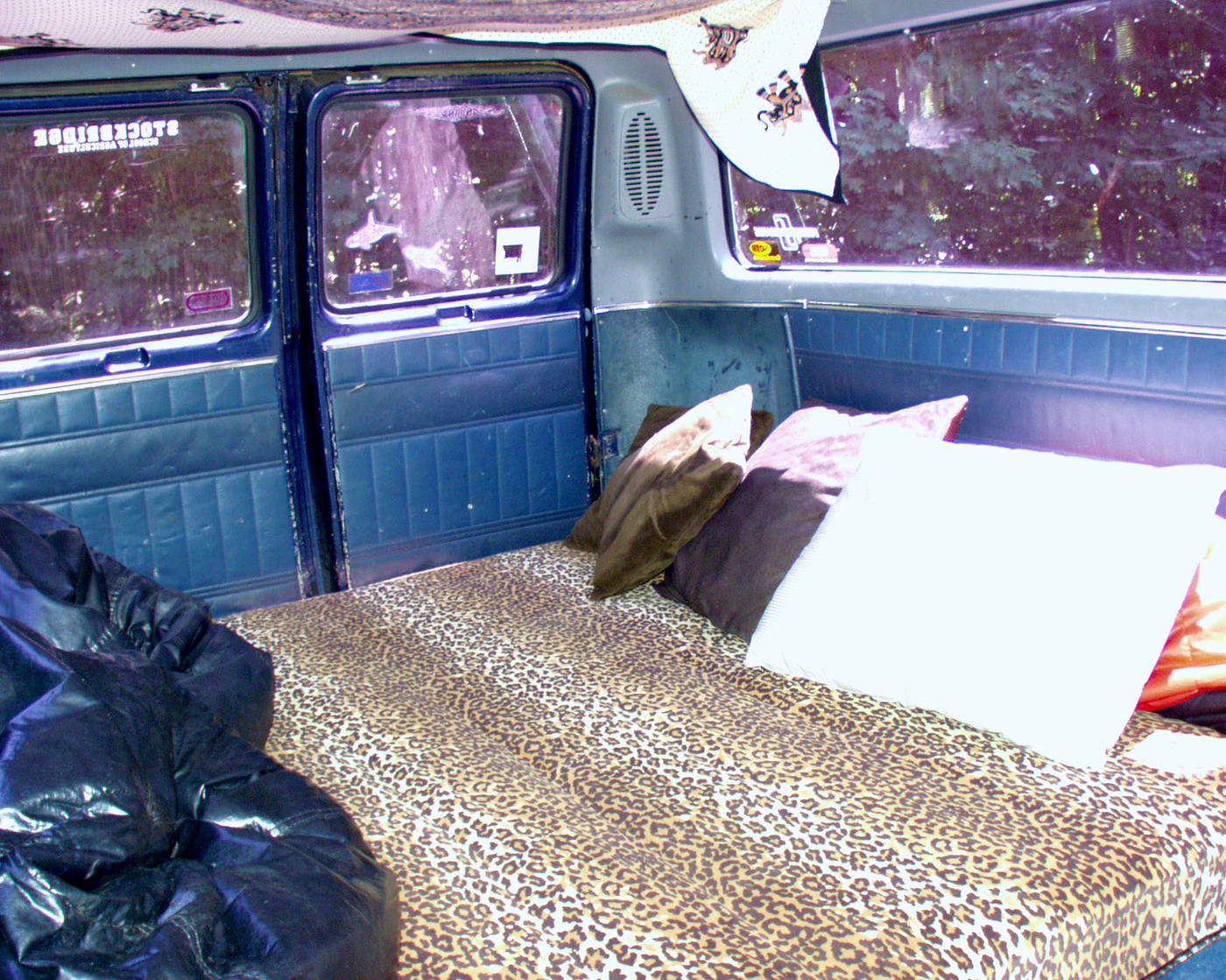 doc interior back P6291596