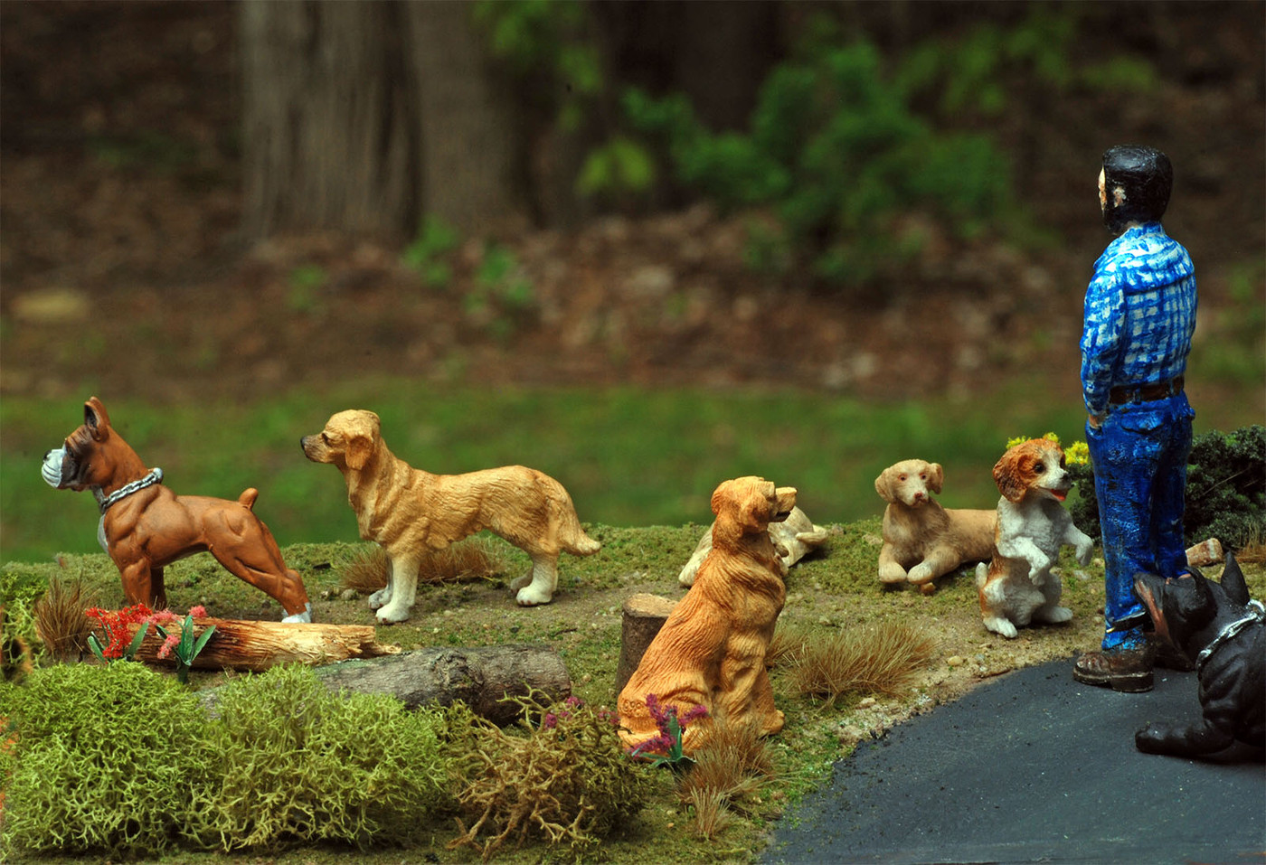 Paul Standing Pup LULU  DSC 2256