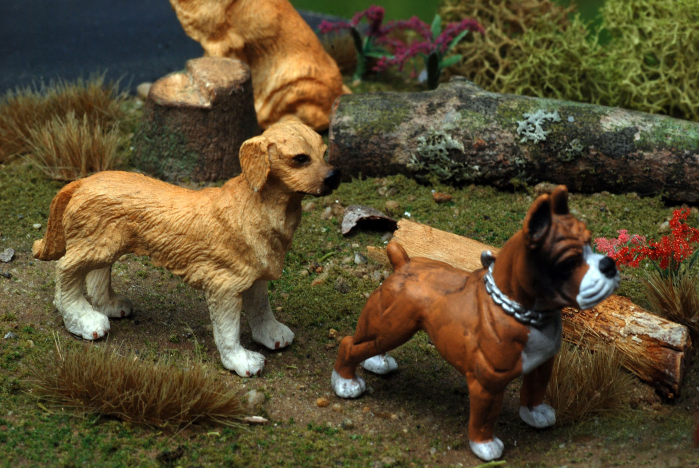 Standing Pup LULU DSC 2251