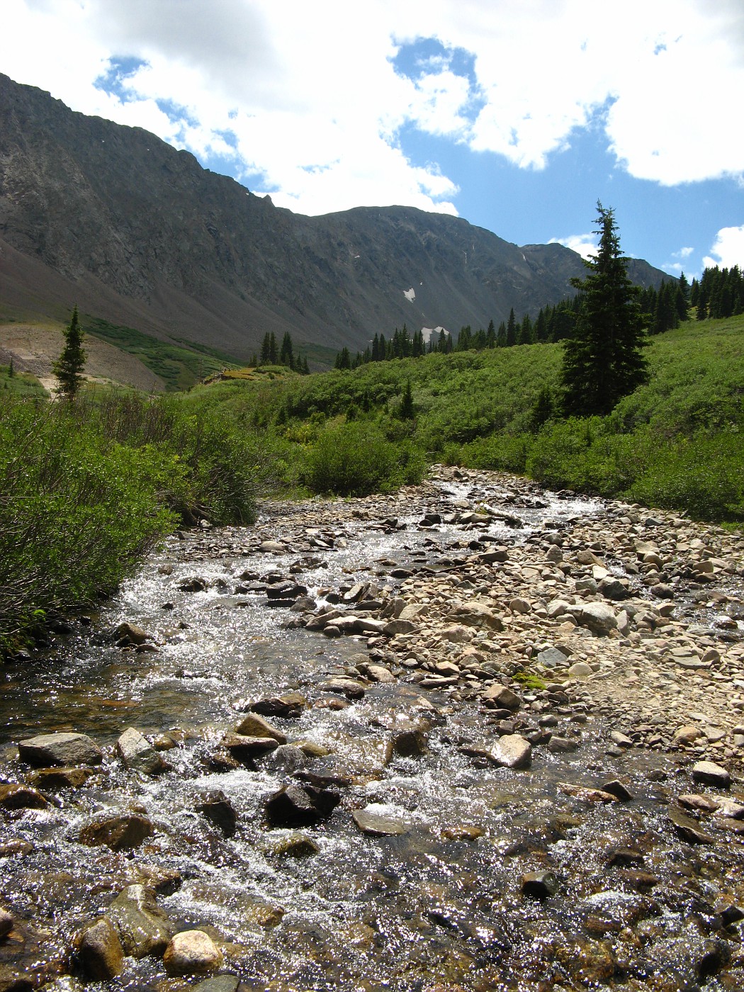 Photo: GraysandTorreys 078.jpg | Grays Peak, Torrey Peak, Garden of the ...