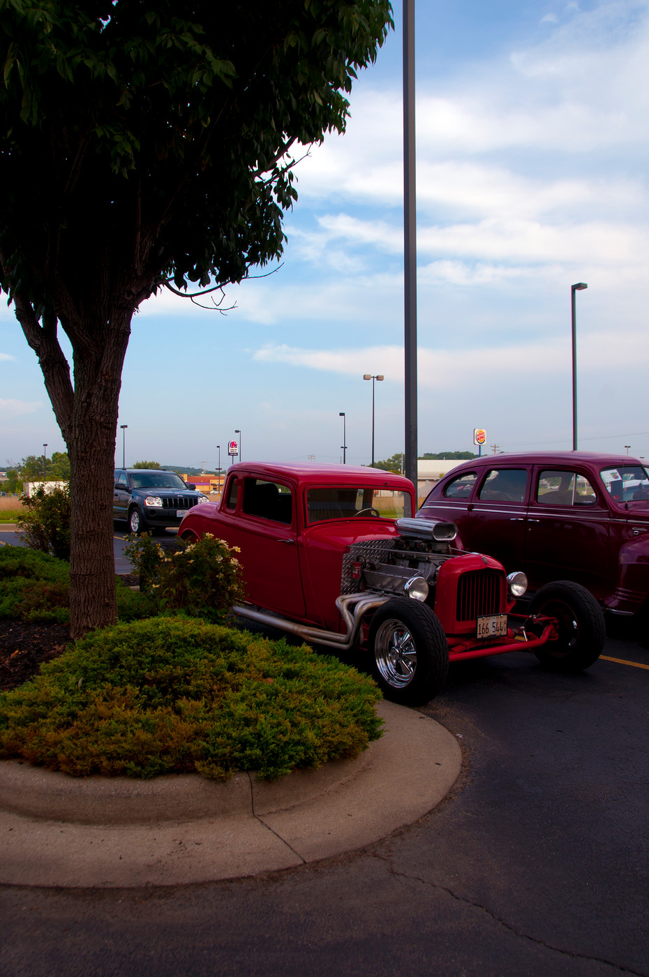 Photo Frog Follies 8008 Frog Follies album AwesomePhotography