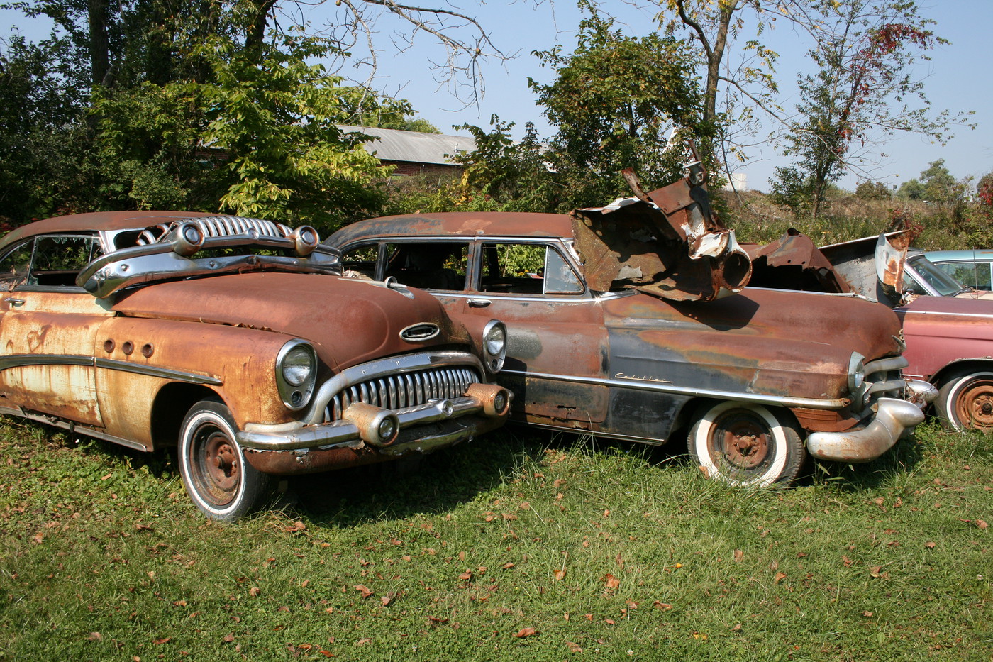 tin tức giảm béo