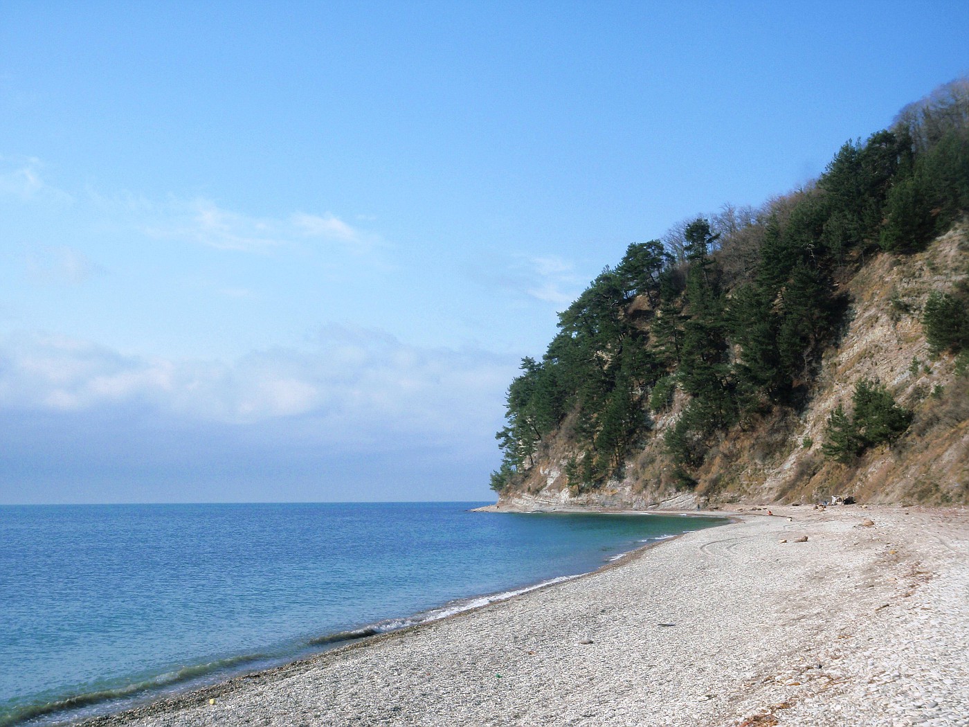 Beach of the Black Sea