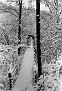 3-Swinging Bridge at Montgomery (About Feb 1982)