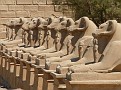 Temple of Karnak - Avenue of Ram Headed Sphinxes