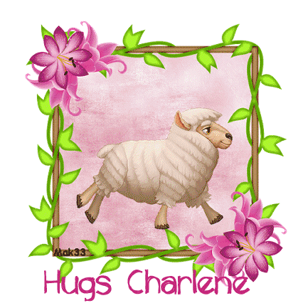 Photo: HUGS CHARLENE LAMB (1)(1) | Charlene Animals album | Charm1068
