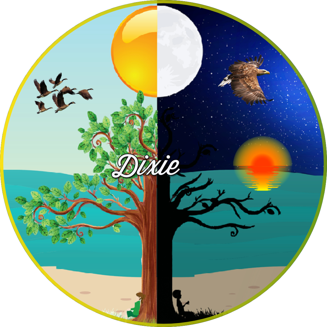 Quick Tags album Susan photo and video sharing made easy.