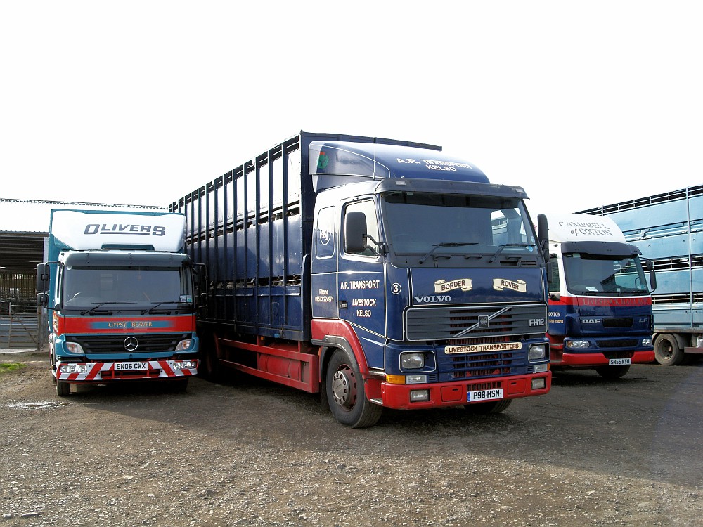 St Boswells Auction Mart, Newtown St Boswells, Borders, Scotland. album Brian Edgar Fotki