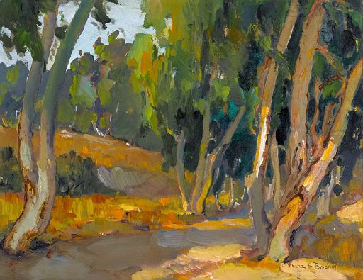 Trees in Scattered Light (undated)