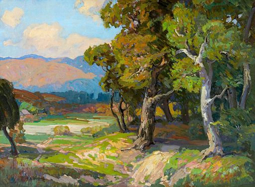 Trees along the Carmel Coast (undated)