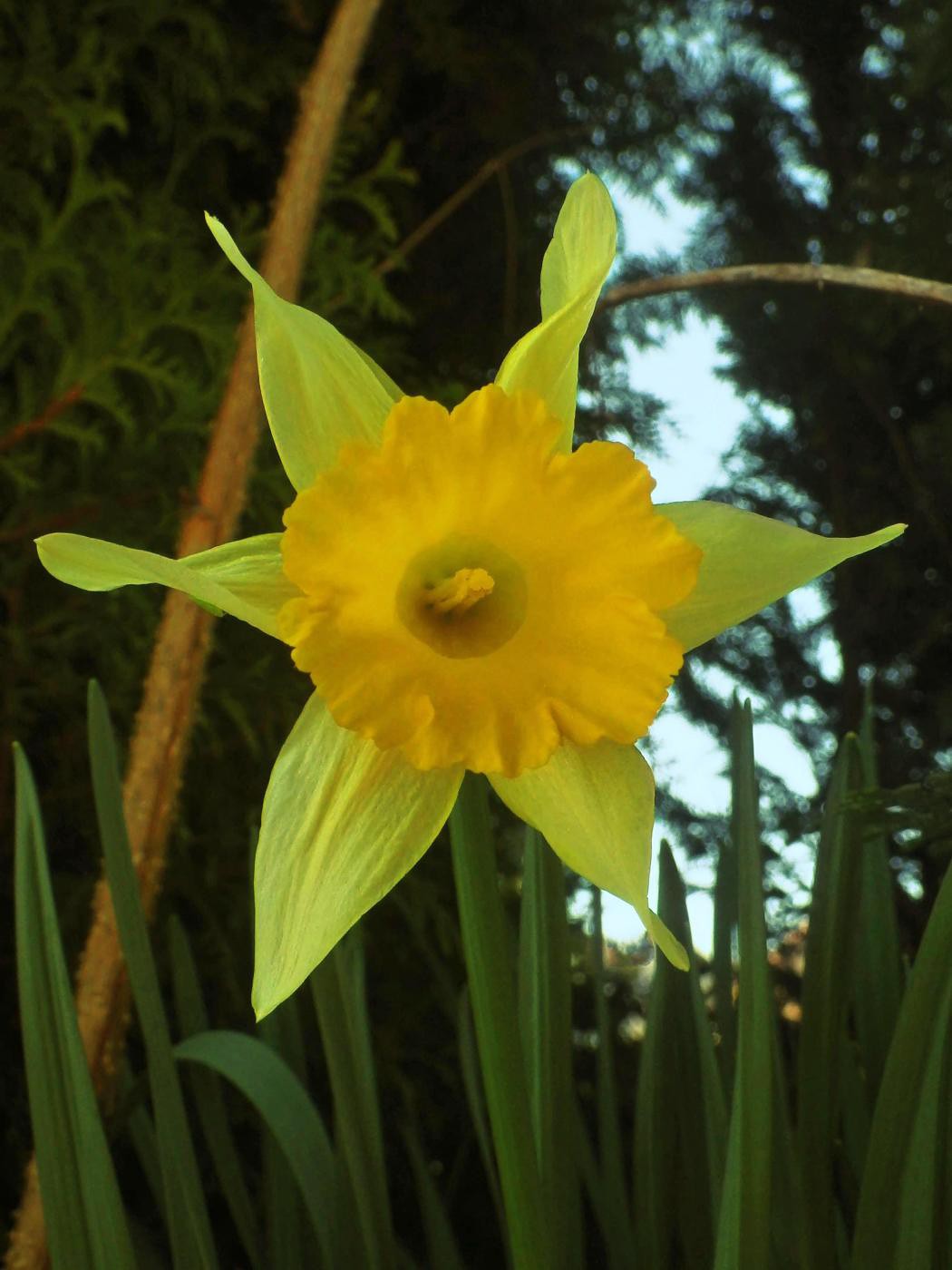 Warten auf Ostern