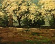 Blossoms [c.1880 - 1884]
