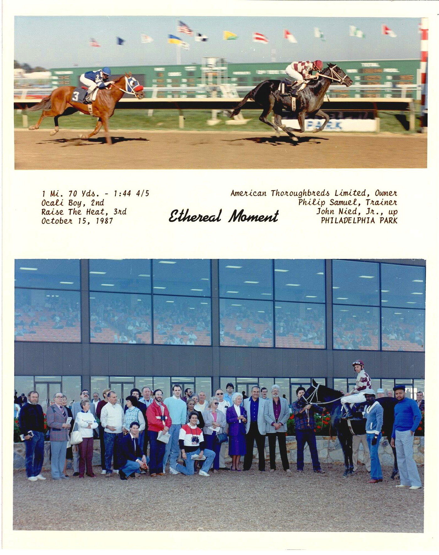 Photo Ethereal Moment A 2 Year Old Colt Records His First Win On photo-ethereal-moment-a-2-year-old-colt-records-his-first-win-on