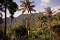 St Lucia08