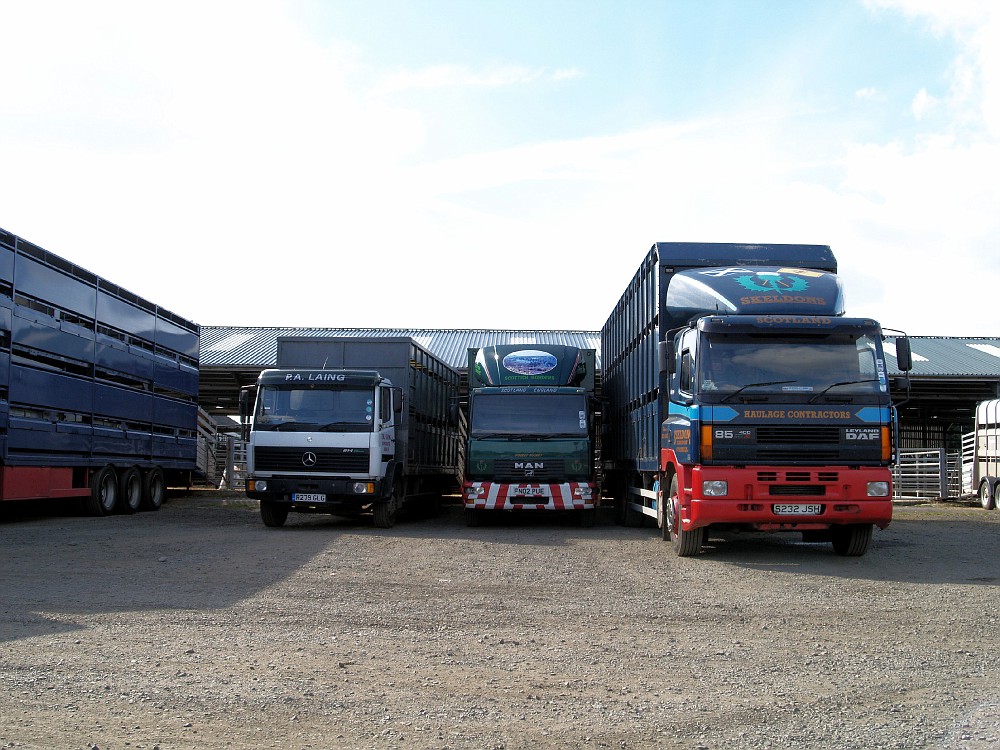 St Boswells Auction Mart, Newtown St Boswells, Borders, Scotland. album Brian Edgar Fotki