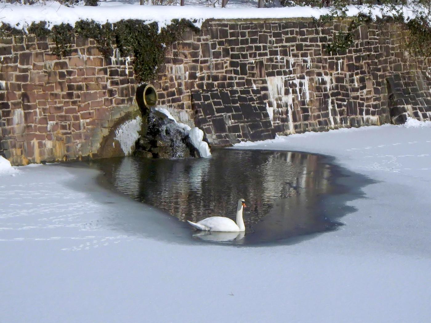 Schlossgraben