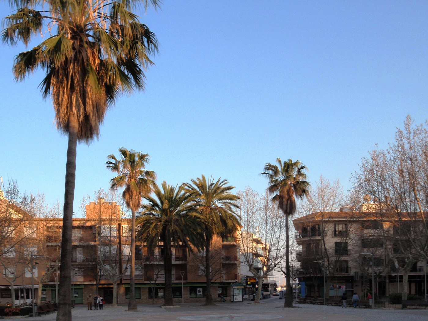 Port de Pollença