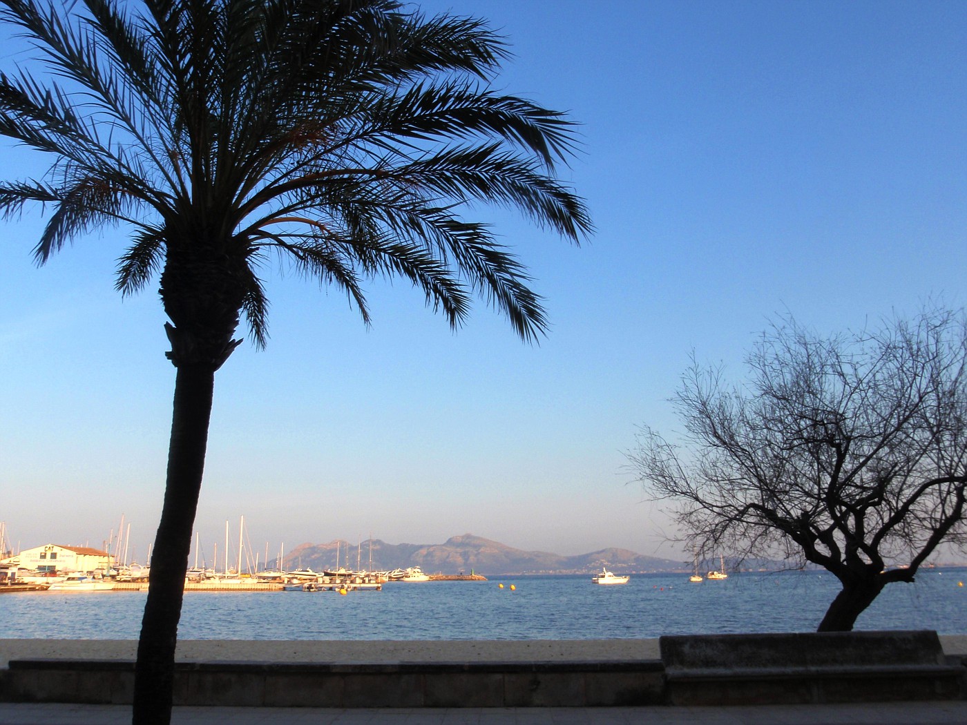 Port de Pollença