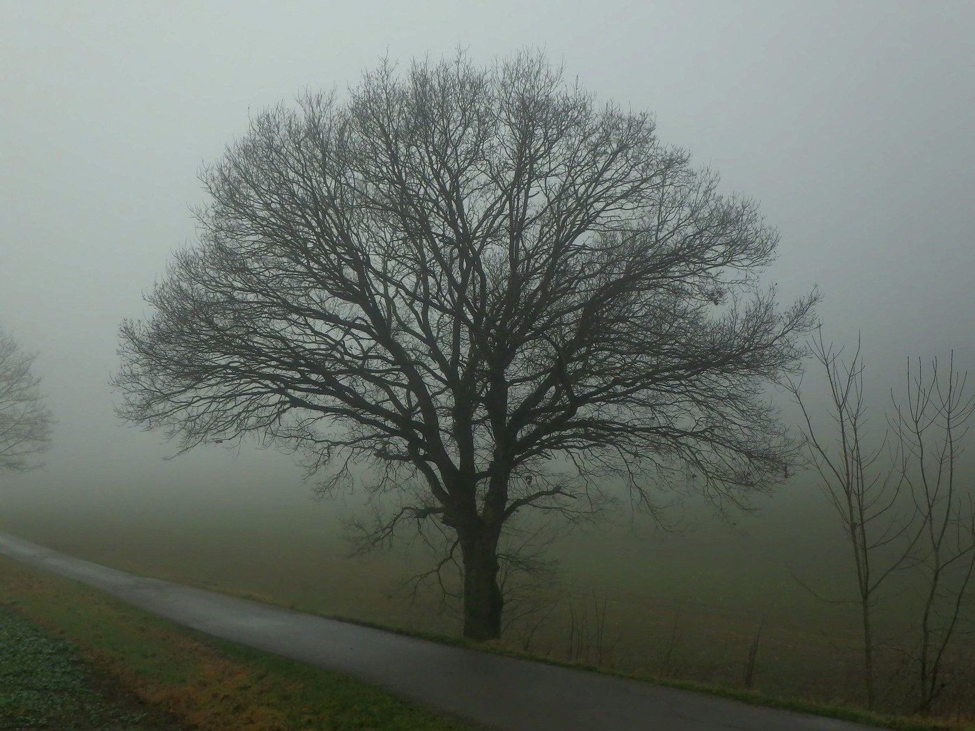 Radweg Eimke