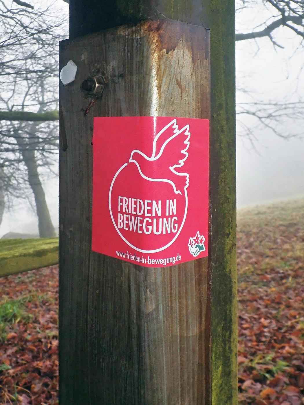 Frieden in Bewegung