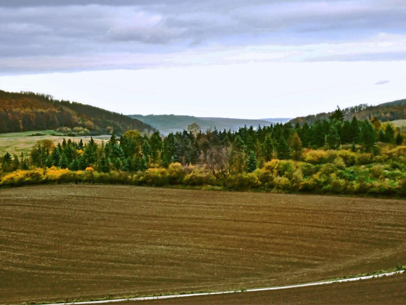 Ziebenberg