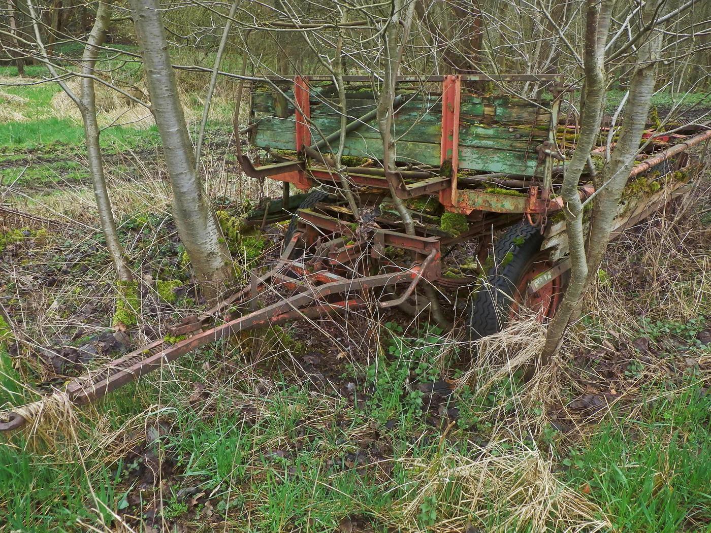 Die Natur wächst durch den Anhänger