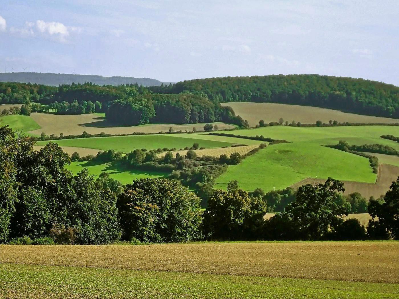 Die Wintersaat ist in die Felder eingebracht