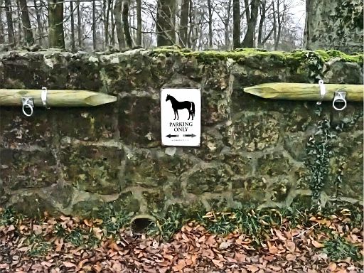 Horse parking only