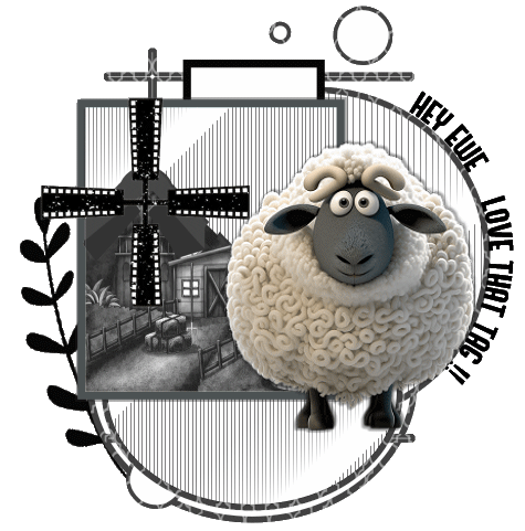 Photo: WK FH LORI CH 5 HEY EWE BLANK | Assorted 1 Blank tags album ...