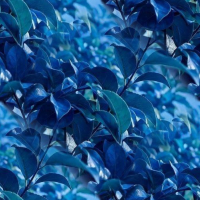 Blue14