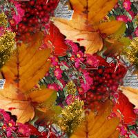 Image2Givethanks-th