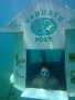 Troy in World's First Underwater Post Office