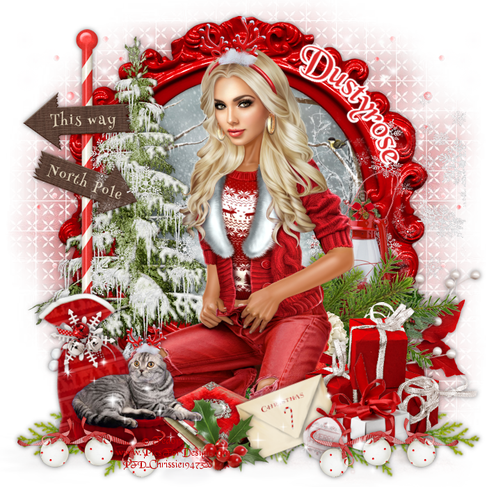  021233 88477603 zpsdx2lr3devi-vi