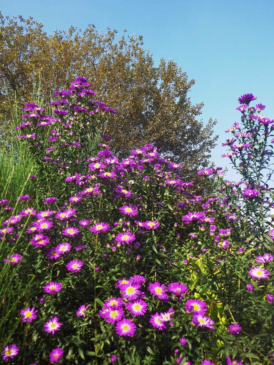 Oktobersommer