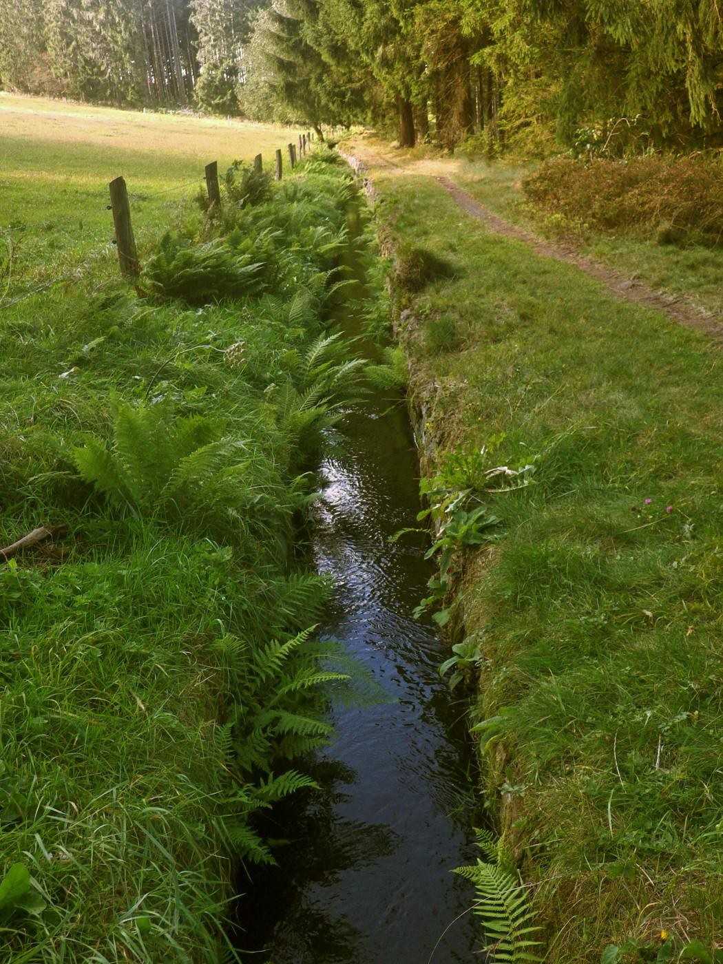 Zellerfelder Kunstgraben