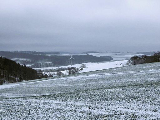 Grupenhäger Bruch