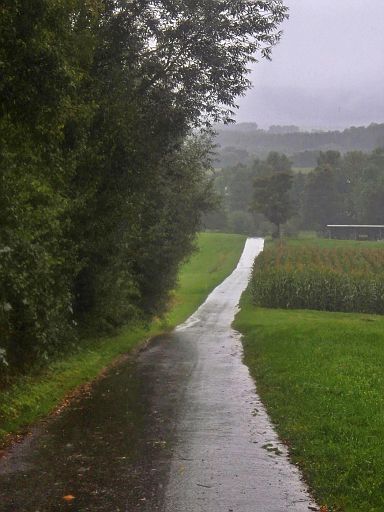 Radweg Bad Driburg Route