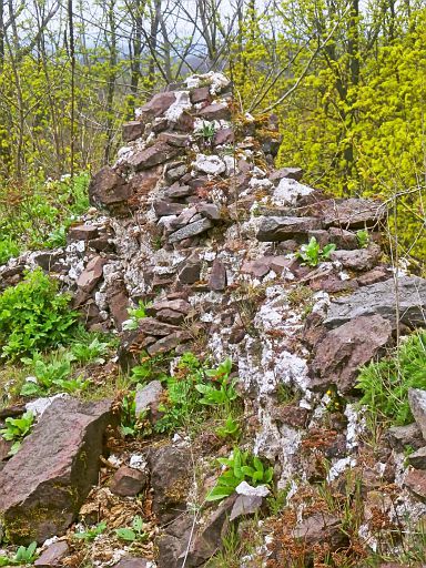 Ruine Ebersburg