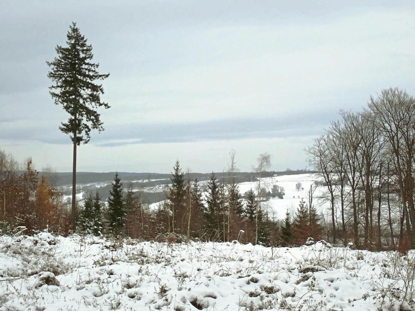 Blick Richtung Multhöpen