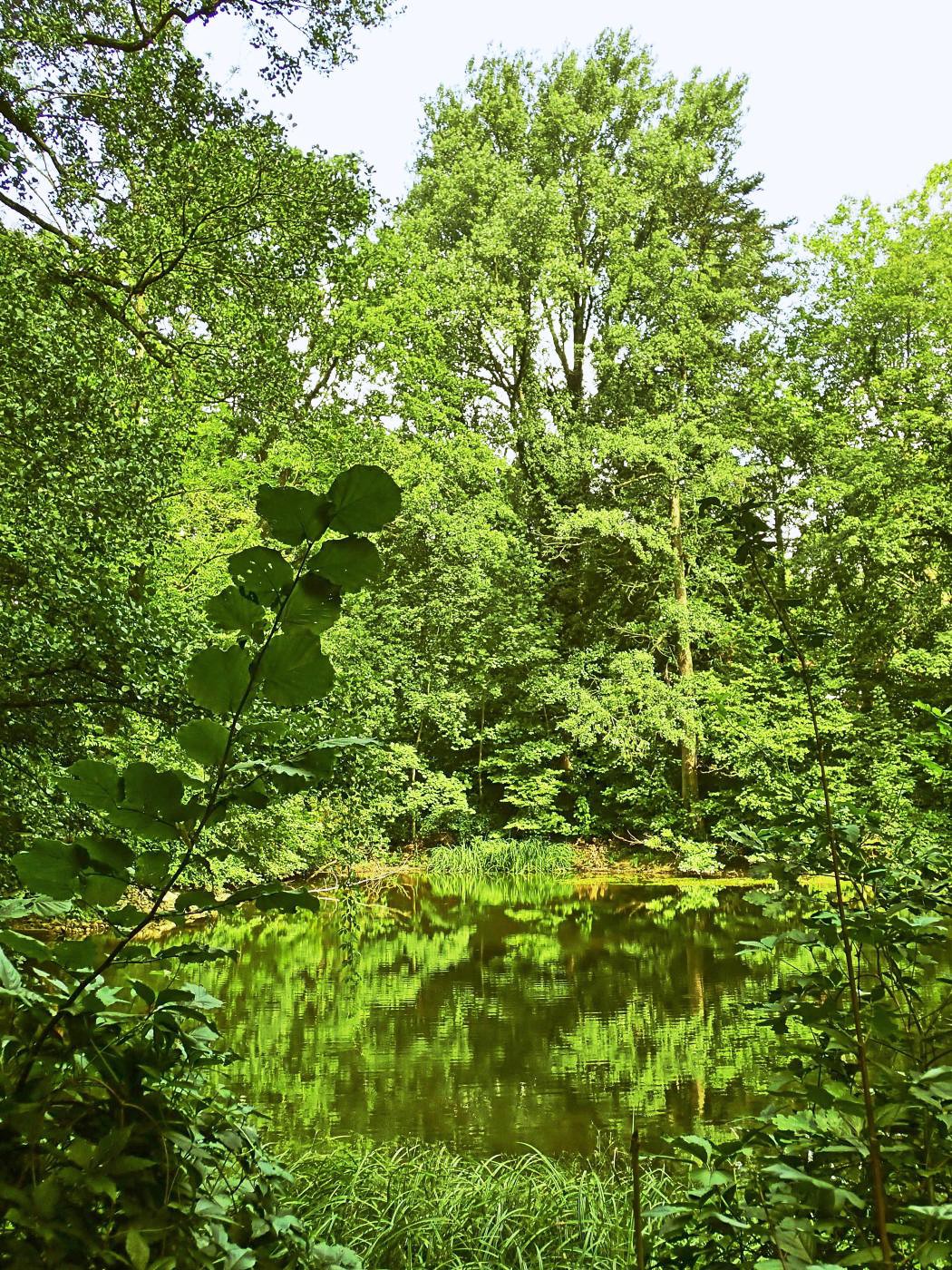 Klosterteich Falkenhagen