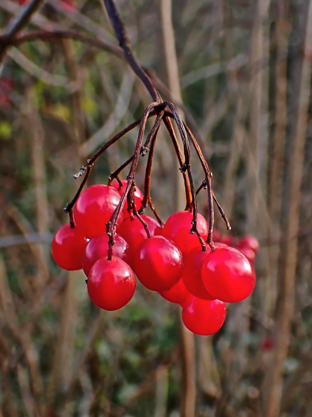 Kugelschmuck