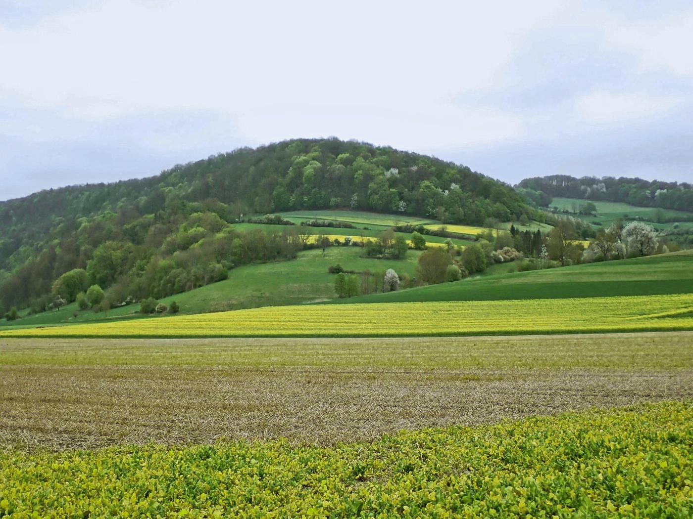 Wisselberg