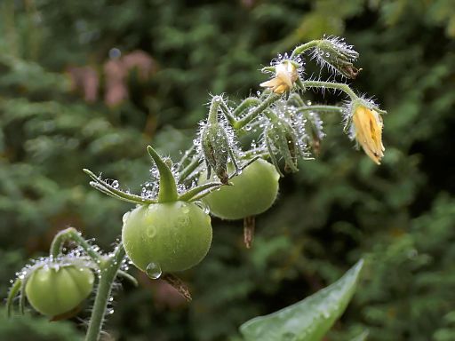 Кто опаздывает, того наказывает жизнь
