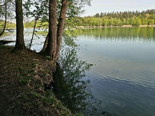 Bruchsee