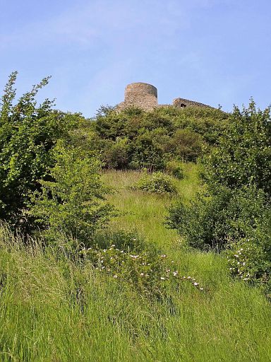 Burgruine Desenberg
