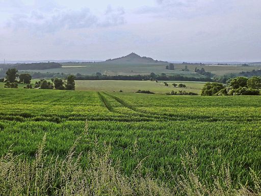 Warburger Börde mit Desenberg