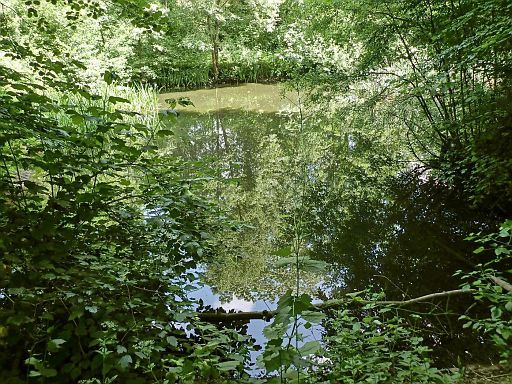Eisteich
